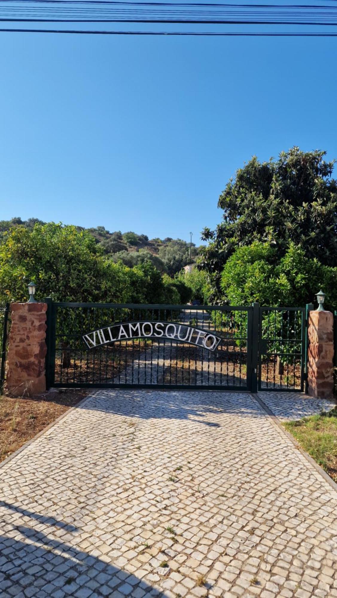 Chalet Villa Mosquito Silves Exterior photo